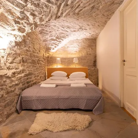 شقة Old Town - Viru Gate *