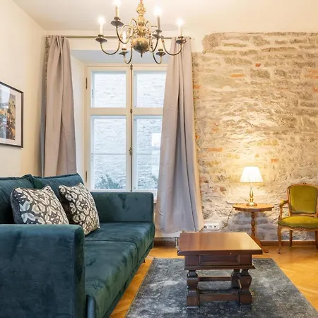 شقة Old Town - Viru Gate *