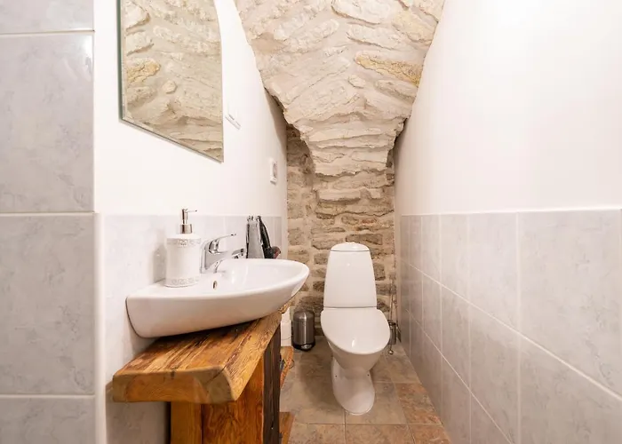 Apartment Old Town - Viru Gate *