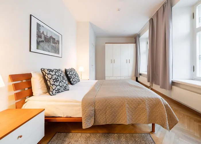 Lägenhet Old Town - Viru Gate