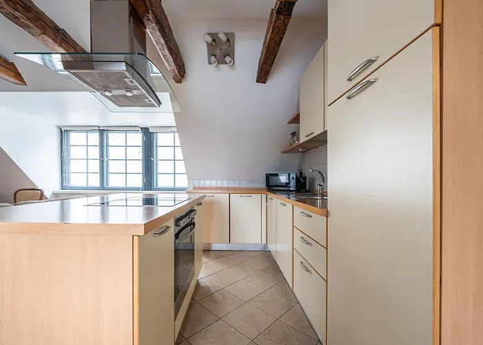 Apartment Old Town - Viru Gate