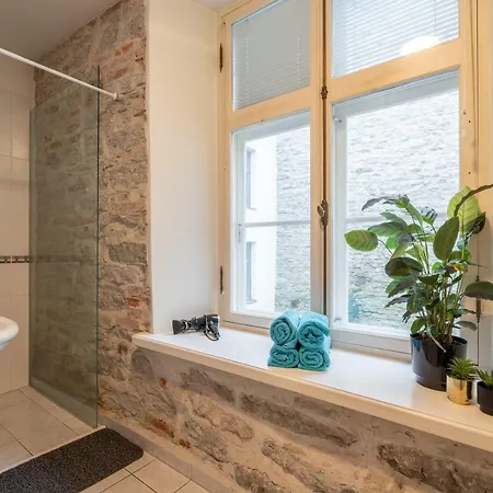 Old Town - Viru Gate Apartman